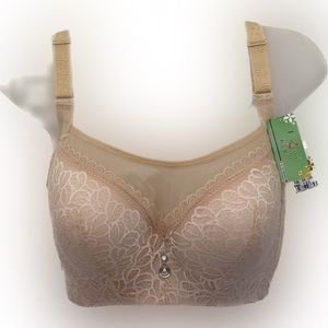 Lightly Padded Lace Cream Bra